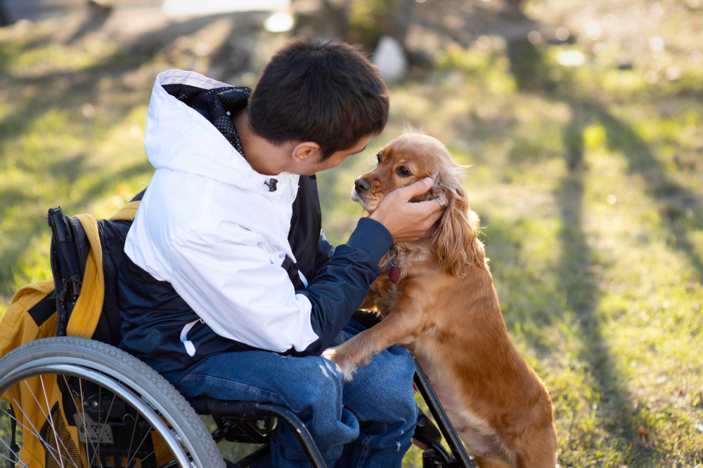 Understanding the Role of Therapy Animals in Disability Support